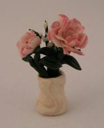 Pink and White Roses