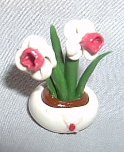Red Daffodils Flower Miniature Unique Gift